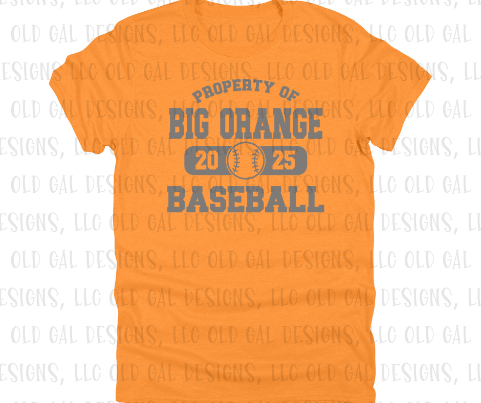 Property of Big Orange Baseball - YOUTH SIZES
