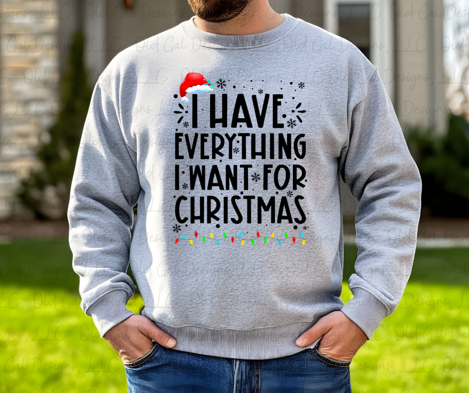 I Have Everything I Want For Christmas