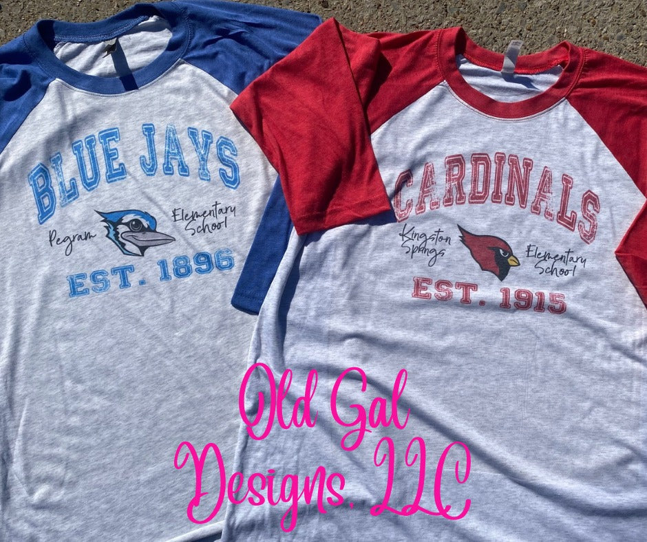 Vintage Pegram or Kingston Elementary Raglan