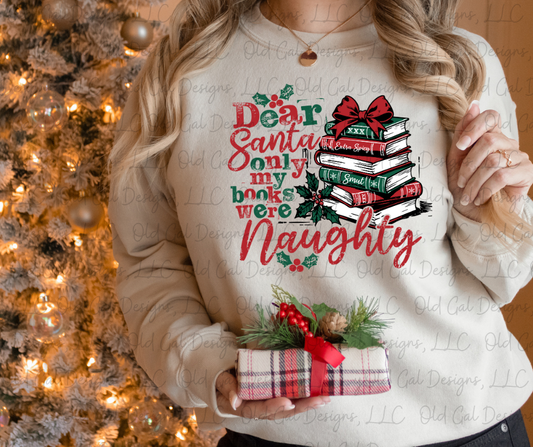 Dear Santa Only My Books Were Naughty