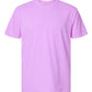 Mystery Tee Sale - Comfort Colors - Neon Violet - Short Sleeve - MEDIUM
