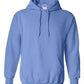 Mystery Tee Sale - Gildan - Carolina Blue - Hoodie - 2X