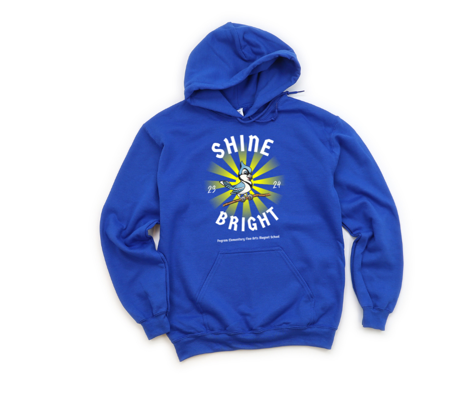Shine Bright - Hoodie (Youth Sizes)