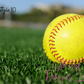Ball Bag Tags