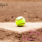 Ball Bag Tags