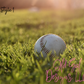 Ball Bag Tags