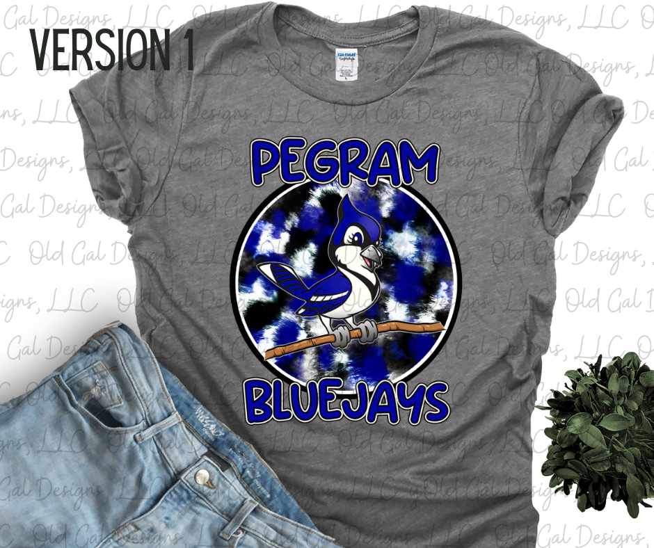 Pegram Bluejays Paint Stroke Circle