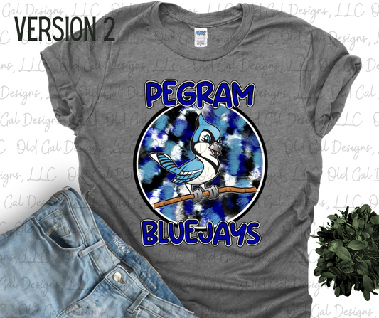 Pegram Bluejays Paint Stroke Circle