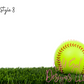 Ball Bag Tags